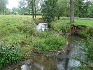 Limburgse water parel