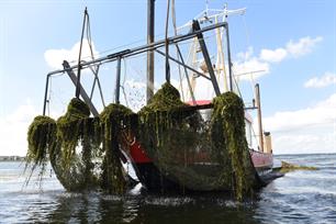 Maaien waterplanten IJmeer en Markermeer gestart