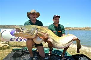 Meervalvissen - World Catfish Classic