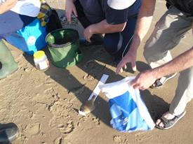 Meten vangst (1) (Small)