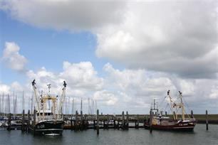 Natuurbewust vissen in de Noordzee : Natura 2000 als kader voor de zoute sport- en beroepsvisserij