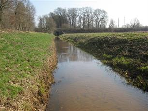 Nederlandse beken zijn te breed