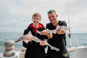 Nieuw haaienonderzoek Nederlandse kust