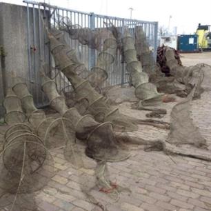 NVWA en politie nemen 16 illegale palingfuiken in beslag