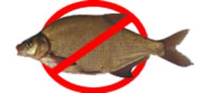Ook Delfland stopt ruimen vis
