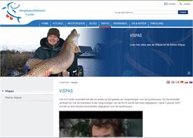 printscr_hsf_fr_vispas_nov08