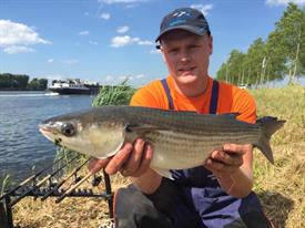 Ramon Ansing (2) (Small)