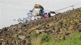 Robert Westerlaken (1) (Small)