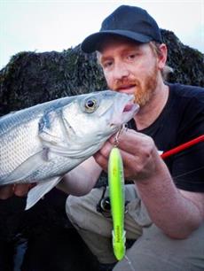 Roofvissen - actie aan de oppervlakte!