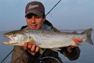 Roofvissen - Nederlandse zeeforel