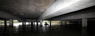 Roofvissen: onder viaducten en bruggen
