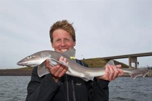 Roofvissen - Sharkatag