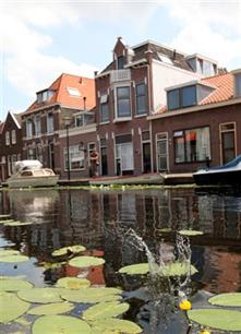 Roofvissen: streetfishing