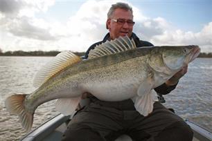 Roofvissen - Tien jaar Kneiterlijst