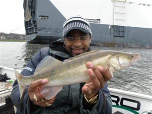 Roofvissen - Visgidsen wijzen de weg