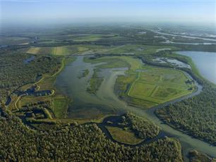 Ruimte voor de rivier, ruimte voor vis : Te weinig oog voor vissen bij waterberging en natuurontwikkeling