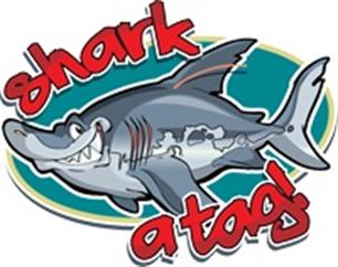 Sharkatag: 73 haaien, vrijdag afgelast (video)