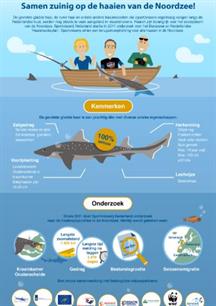 Sharkatag infographic - uitkomsten onderzoek