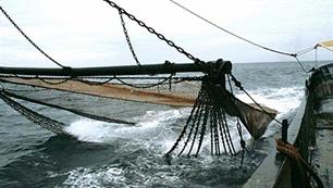 Sleepnetvisserij beschadigt riffen Noordzee