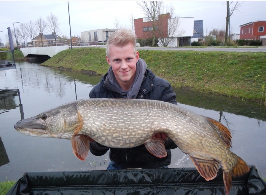 onregelmatig Onnauwkeurig vervorming Sportvisserij Nederland - Vangsten Top-10 Mijnvismaat