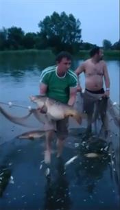 Sportvissers redden honderden vissen in Zwolle (video)