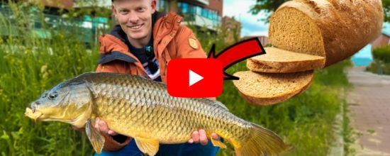 Stekkie video -  10 tips voor oppervlaktevissen op karper