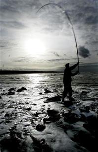 TNS/NIPO enqu&#234;te: Zeesportvisserij ongekend populair