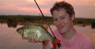 Uitgelicht - Goud onder water