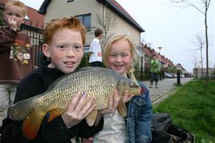 Uitgelicht - Rondom huis
