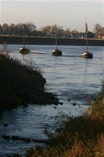 Van bron tot monding : Richtlijnen voor herstel van vismigratie in Europese rivieren