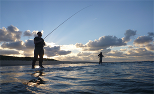 Verplichte vangstregistratie voor zeesportvissers vanaf 10 januari 2026