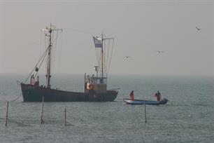 Verzet tegen visserij IJsselmeer opgeschort
