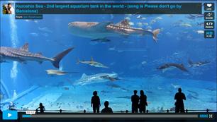 Video: mega aquarium