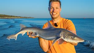 VISblad TV: haaien vanaf het strand (video)