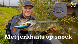 VISblad TV: 'jerken' op snoek in ultra-ondiep water