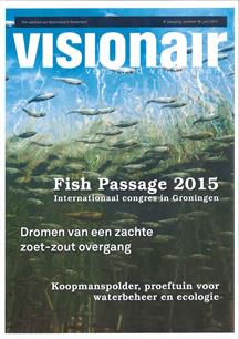 Visionair 36 juni 2015