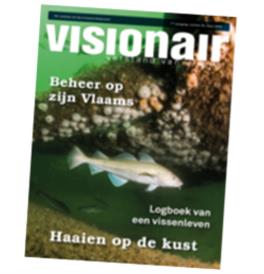 Visionair 39