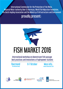 Vismarkt 2016: workshop stroomafwaartse passage bij waterkrachtcentrales