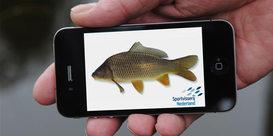 Vissengids app: alle Nederlandse vissoorten