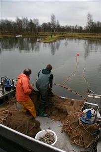 Visserijkundige onderzoeken Groenlo en Amersfoort