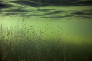Visvriendelijk beheer en onderhoud