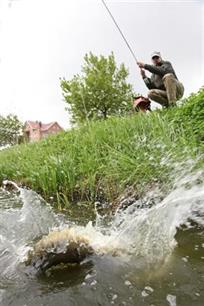 Vliegvissen: actie in de woonwijk