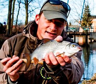 Vliegvissen: megablankvoorns in de havens