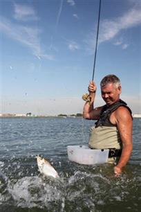 Vliegvissen: mini tarpons
