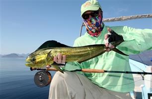 Vliegvissen: nieuw in de vliegvisrekken