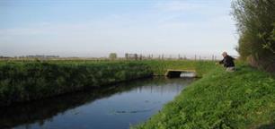 Vliegvissen: op de juiste plek tijdens de windetrek