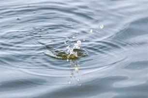 Vliegvissen - popperen op baars