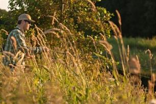 Vliegvissen - van ruisers naar rovers