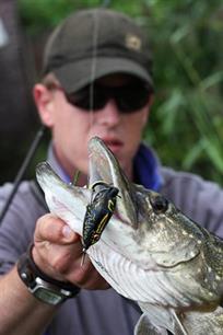 Vliegvissen - Verkikkerd op snoek