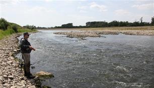 Vliegvissen - verrassingen aan de Grensmaas